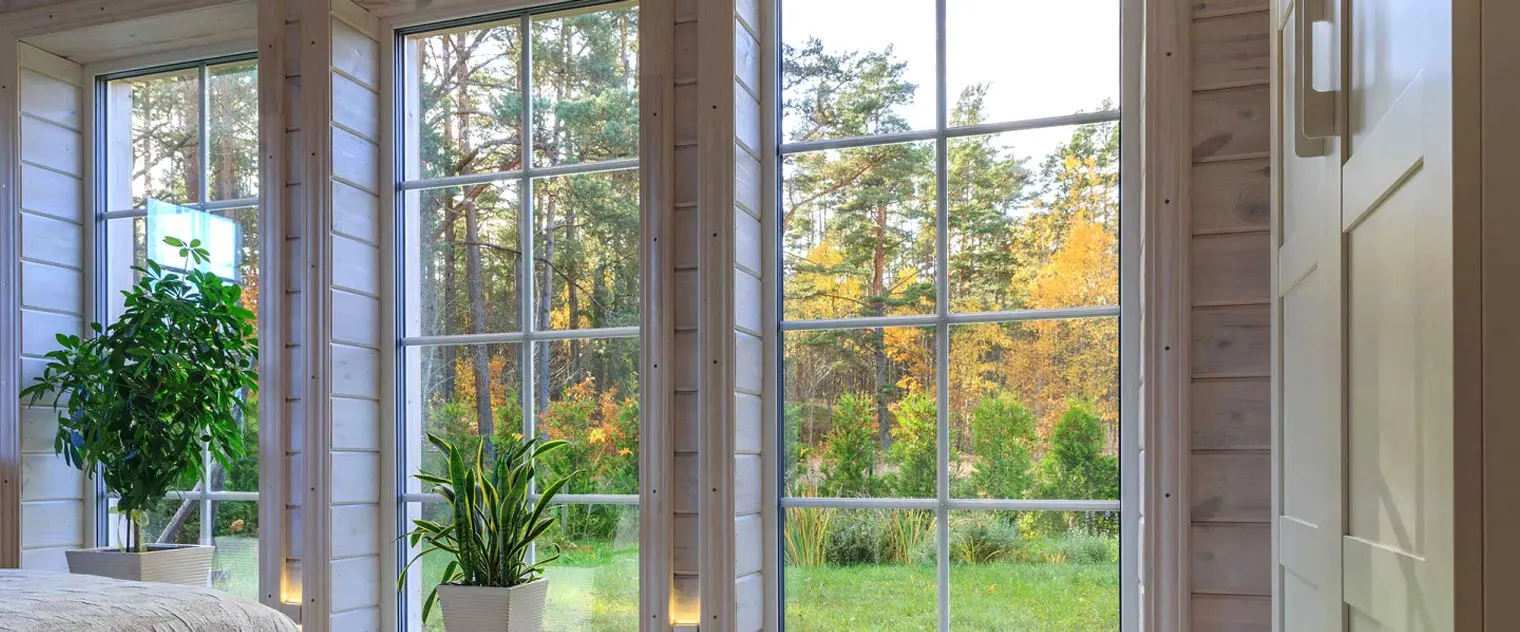 A plant in a window sill near some trees.