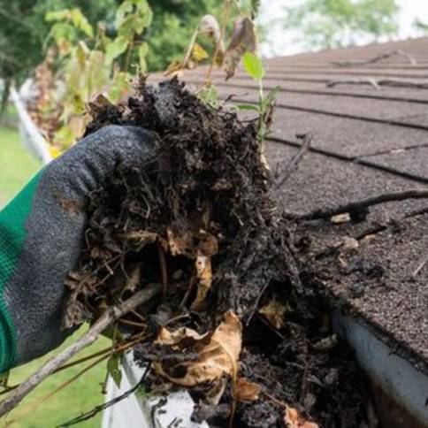 A person cleaning leaves from the gutter of their roof.