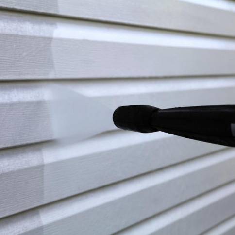 A close up of a brush on the side of a house